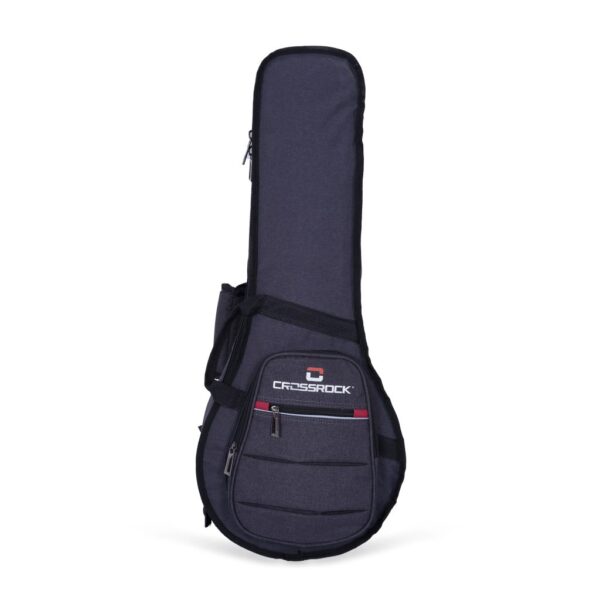 Mandolin Metro Gig Bag