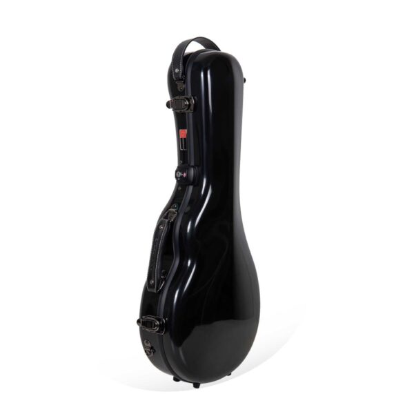 Mandolin F Style Case - Black